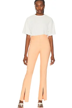 Prudence Pant